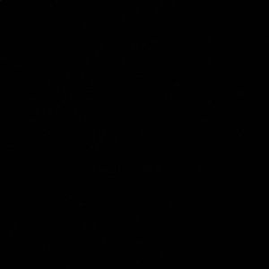 Meet your Posher, Shevay